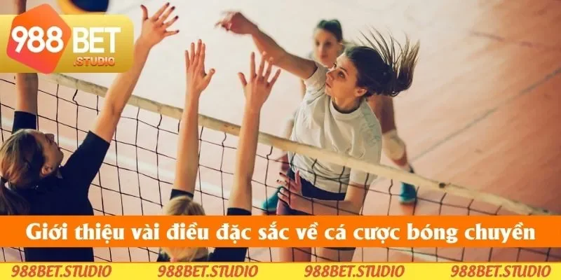 Giới thiệu vài điều đặc sắc về cá cược bóng chuyền Giới thiệu vài điều đặc sắc về cá cược bóng chuyền
