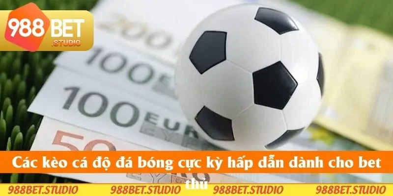 Các kèo cá độ đá bóng cực kỳ hấp dẫn dành cho bet thủ