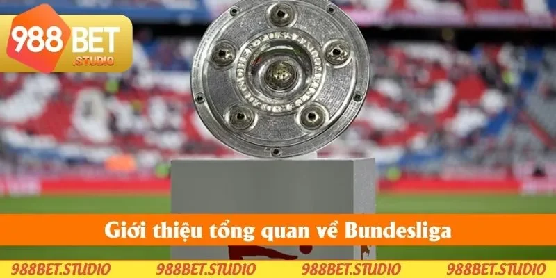 Giới thiệu tổng quan về Bundesliga Giới thiệu tổng quan về Bundesliga
