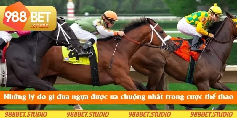 Lý do gì đua ngựa được ưa chuộng nhất trong thể thao