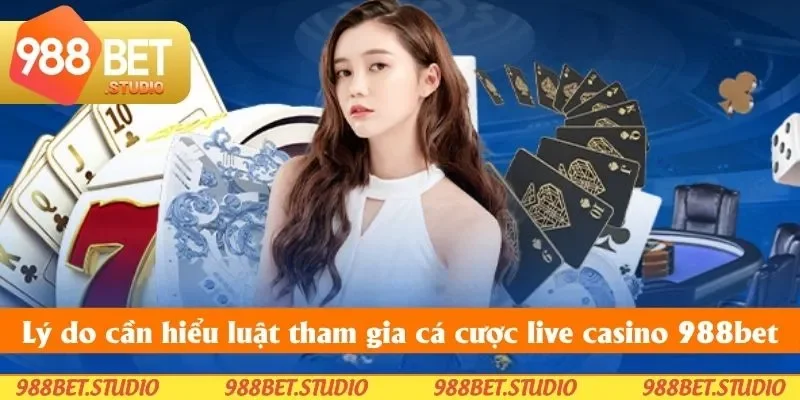 Nguyên nhân bạn cần nắm vững luật tham gia cược casino Nguyên nhân bạn cần nắm vững luật tham gia cược casino