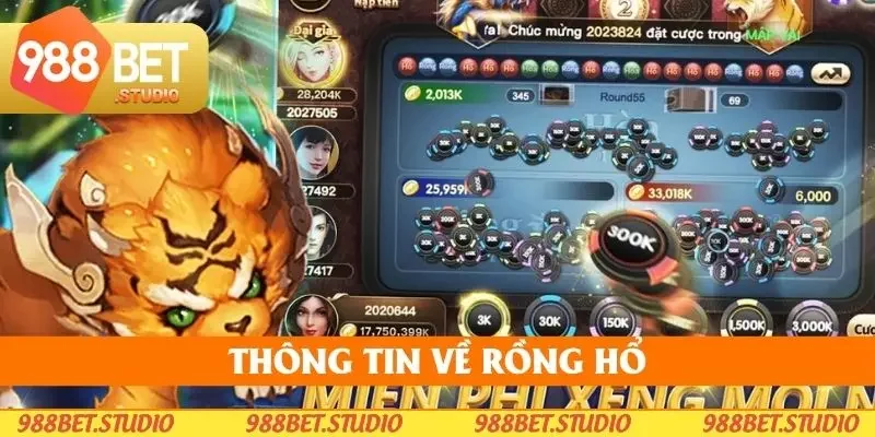 Vài thông tin chi tiết cơ bản về rồng hổ 988bet Vài thông tin chi tiết cơ bản về rồng hổ 988bet